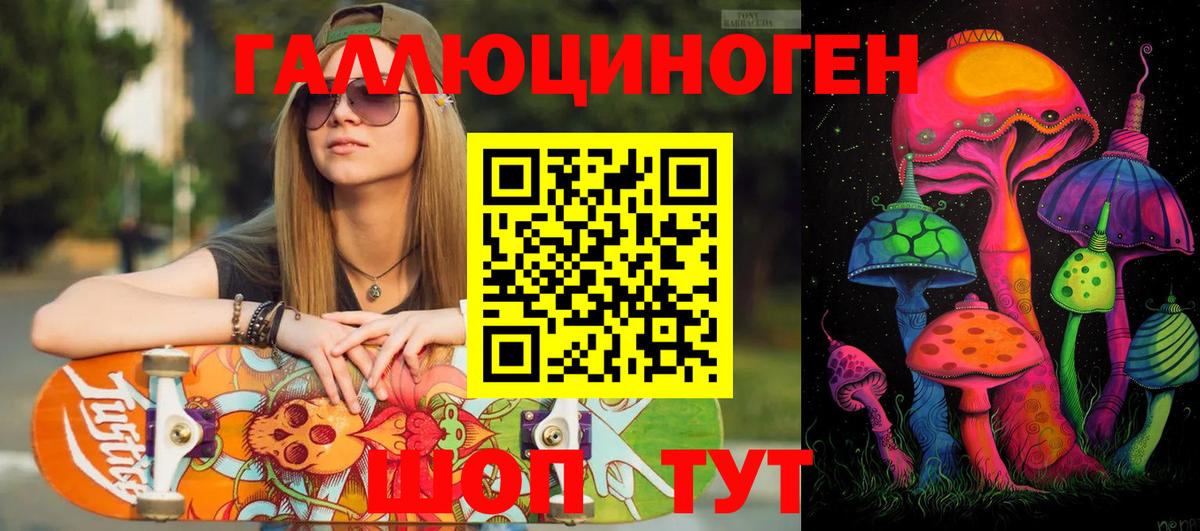 Галлюциногенные грибы Psilocybine cubensis Петропавловск-Камчатский