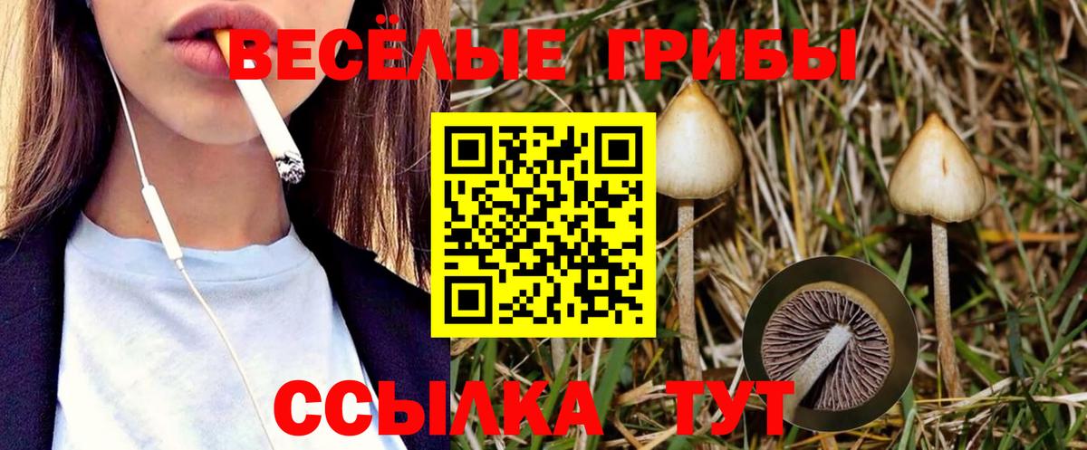Петропавловск-Камчатский  Галлюциногенные грибы ЛСД  Вход с VPN 
